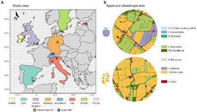 Impact of landscape configuration and composition on pollinator communities across different European biogeographic regions